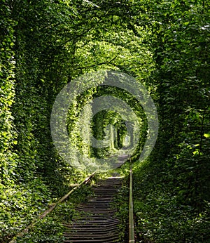 Love Tunnel, railway section in forest near Klevan, Ukraine. So named because, some people say, before by this way girls from a