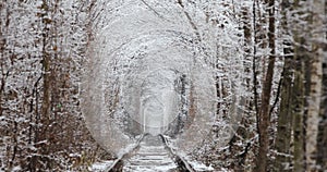 love tunnel in winter. Natural Tunnel of Love with Railway Road