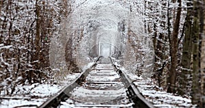 love tunnel in winter. Natural Tunnel of Love with Railway Road