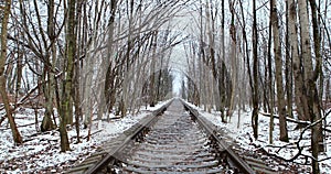 love tunnel in winter. Natural Tunnel of Love with Railway Road