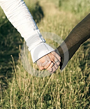 Love. Two hands with the rings on wedding day in nice green booked background