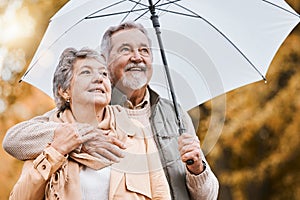 Love, umbrella and nature with a senior couple outside together, standing in a park during winter or autumn. Forest