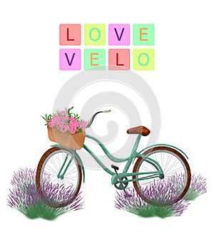 LOVE VELO bicycle illustration