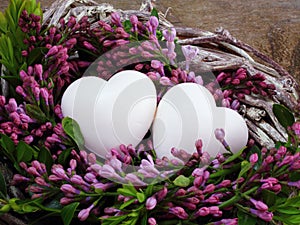 Love white hearts with lilac blossoms