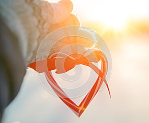 Love in winter. Heart shaped symbol Valentine Day. heart with hands, Feelings and Lifestyle concept on the sunset light