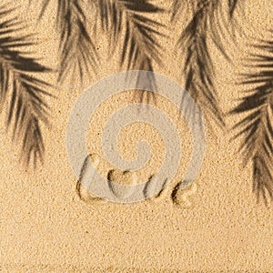 Love word hand-drawn, palm tree branch shadow on sand tropical beach. valentines day. Beach, travel, summer, holiday concept.