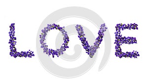 Love word writen with flowers isolated on white background. Violets love text. Valentine`s day greeting card