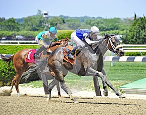 Love you Babe winning at Belmont Park