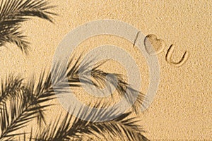 Love you text hand-drawn, palm tree branch shadow on sand tropical beach. valentines day. Beach, travel, summer, holiday concept