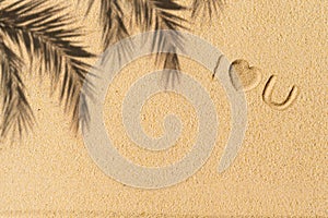 Love you text hand-drawn, palm tree branch shadow on sand tropical beach. valentines day. Beach, travel, summer, holiday concept