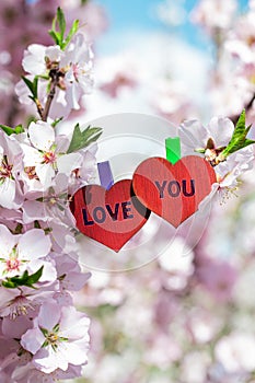 love you word love theme pinned almond blossom