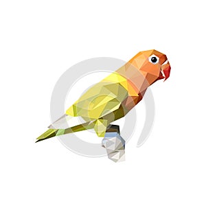 lovebird in lowpoly art