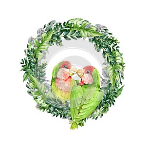 Lovebird parrots on a wreath watercolor illustration. Exotic tropical birds symbol of true love image. Small bright green parrots