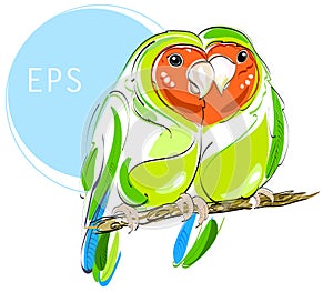 Lovebirds. Couple of bright green parrots vector illustration. Love and fidelity photo