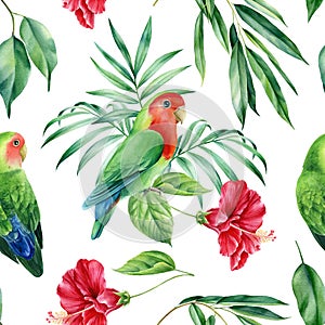 Lovebirds, Parrots and palm leaves, tropical flowers on white background, watercolor botanical. Seamless patterns.