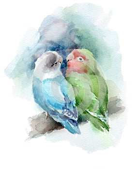 Lovebirds Watercolor Bird Hand Drawn Love Illustration