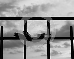 lovelocks on metal fence in front of clouds, closeup