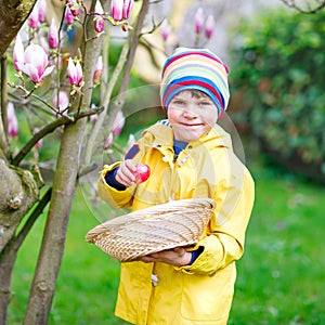 Lovely adorable little kid boy making an egg hunt on Easter. Happy child searching and finding colorful eggs in domestic