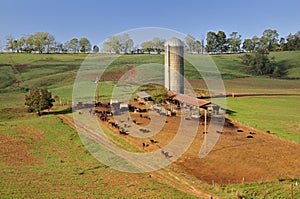 A lovely American idyllic pastoral scene of photo