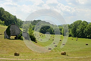 A lovely American idyllic pastoral scene photo