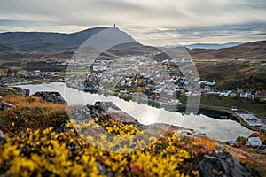 A lovely autumn landskape with yellow flowers photo