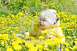 Lovely baby among dandelions