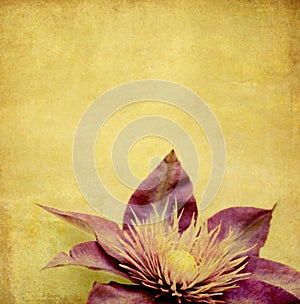 Lovely background image