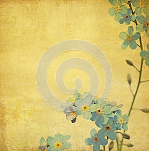 Lovely background image