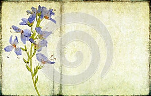 Lovely background image