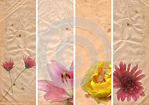 Lovely banners with floral elements