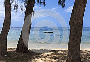 Lovely beach on mauritius island