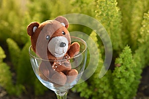 Lovely bear in glass