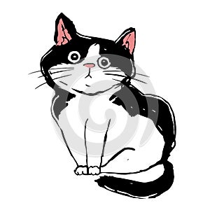 Lovely black and white cat. sad lost kitten. homeless pet.Cute print vector illustration