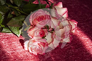 Lovely bouquet with big flowers of roses of bright pink and white color are laying on the bed with pink bedcover. Green leaves and