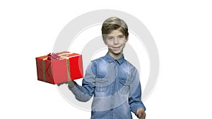 Lovely boy holding gift box.