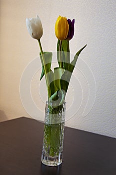 Lovely bright three flowers of tulips of white, purple and yellow color are standing on the table in the crystal vase. Green leave