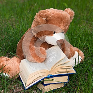 Lovely Brown Teddy bear toy and book sitting on green grass field, education kids concept