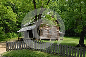 Lovely cabin in forest setting in smoky mountains national park