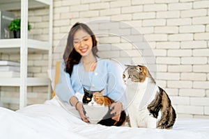 Lovely cat stand in front of Asian woman as owner with play to the other cat in bedroom and look to the left in concept of good