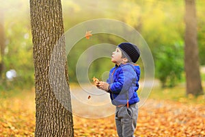 Lovely child catches the maple leaves in the fall during autumn