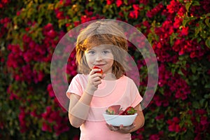 Lovely child eating strawberries. Healthy kids food. Organic nutrition.