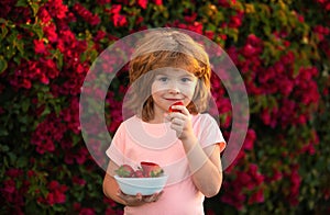 Lovely child eating strawberries. Healthy kids food. Organic nutrition.