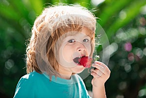 Lovely child eating strawberries. Kids pick fresh organic strawberry. Child strawberrie.