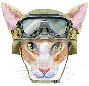Lovely closeup portrait oriental cat in military tactical helmet with goggles. Hand drawn water colour painting on white
