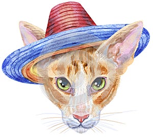 Lovely closeup portrait oriental cat in a sombrero hat. Hand drawn water colour painting on white background