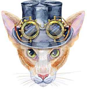 Lovely closeup portrait oriental cat in steampunk hat with googles. Hand drawn water colour painting on white background