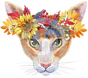 Lovely closeup portrait oriental cat in a wreath of autumn leaves. Hand drawn water colour painting on white background