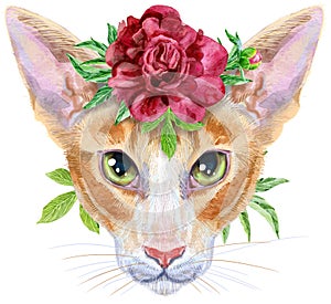 Lovely closeup portrait oriental cat in a wreath of flowers. Hand drawn water colour painting on white background