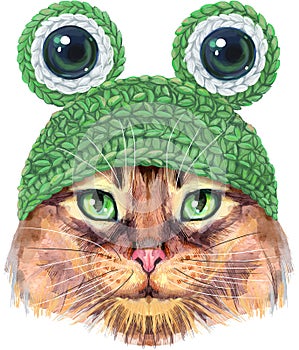 Lovely closeup portrait in pastel colors of Somali cat in a frog hat with eyes. Hand drawn water colour painting on white