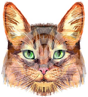 Lovely closeup portrait in pastel colors of Somali cat. Hand drawn water colour painting on white background